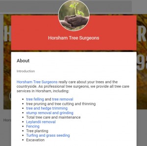 Horsham Tree Surgeons Google page
